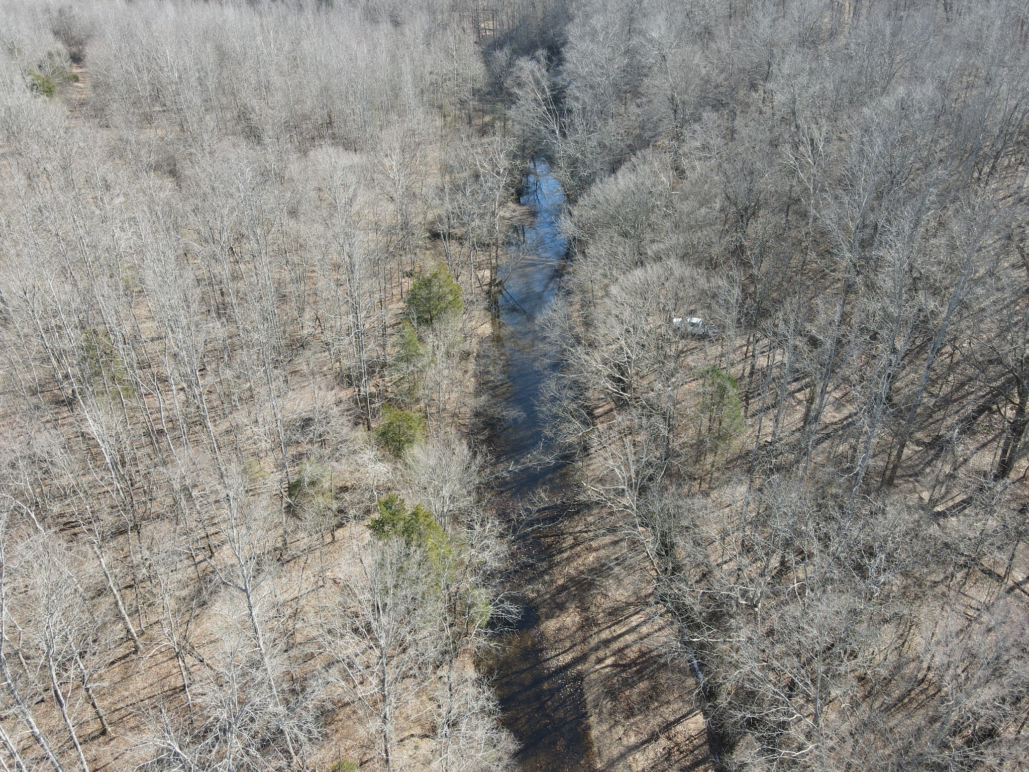 0 North Fork Stewart TN 37175