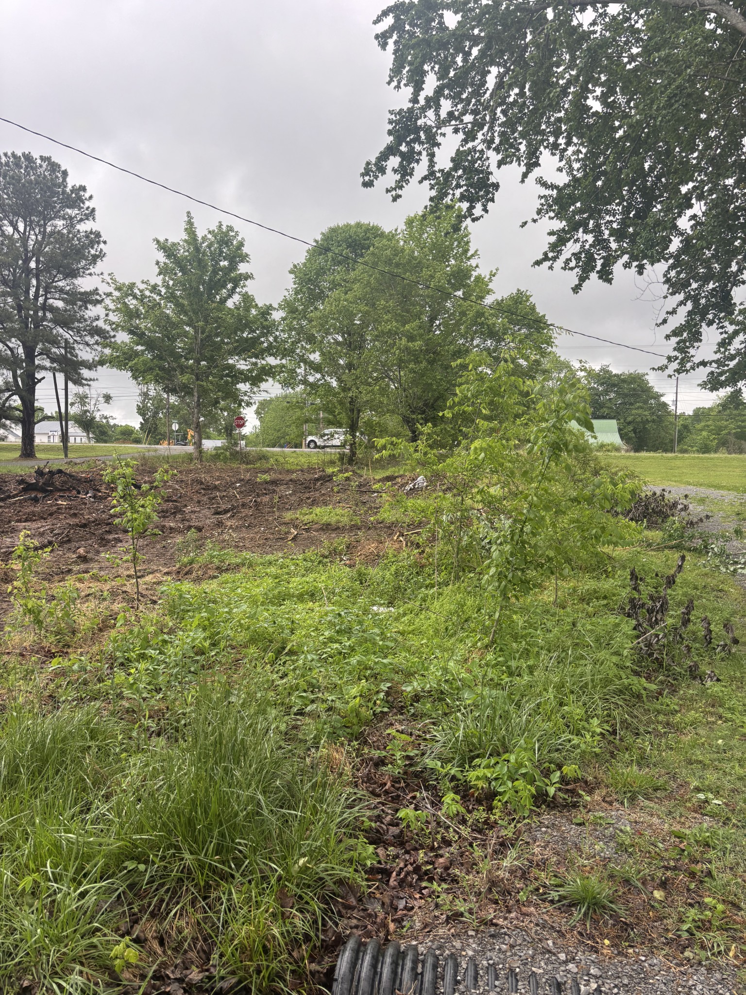 0 Sylvia Road Dickson TN 37055