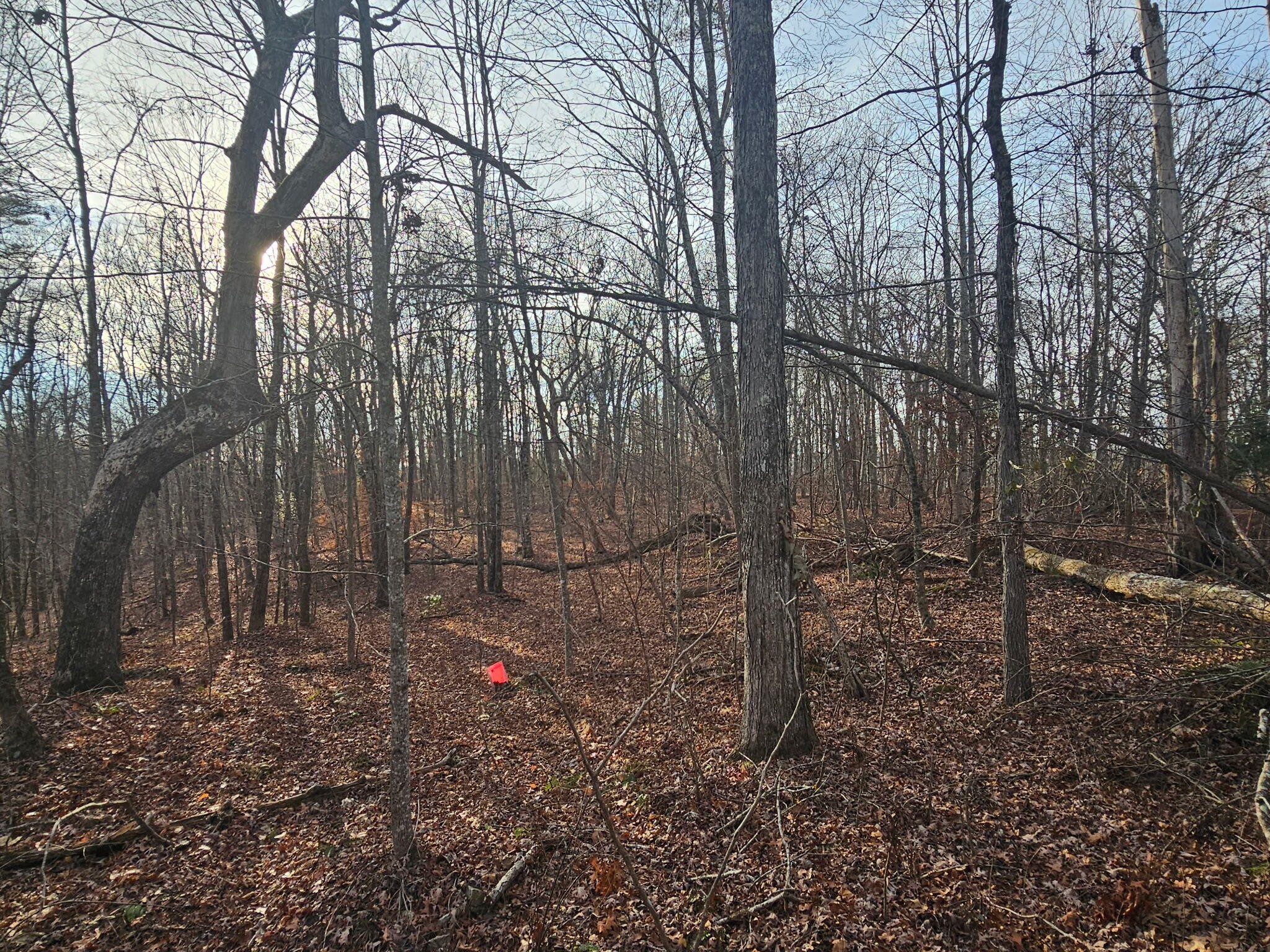 2900300 Smith Mountain Dunlap TN 37327