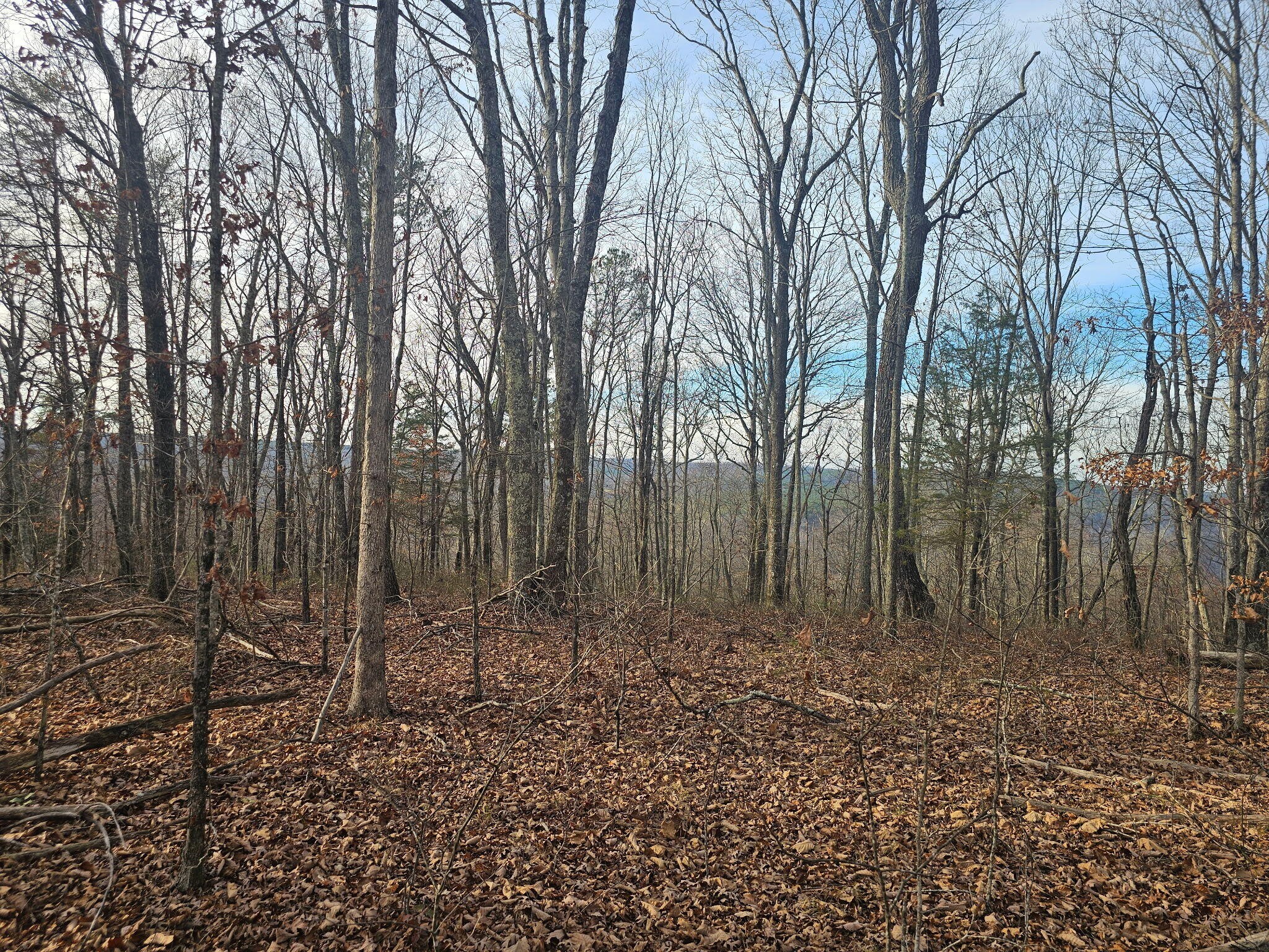 2900300 Smith Mountain Dunlap TN 37327