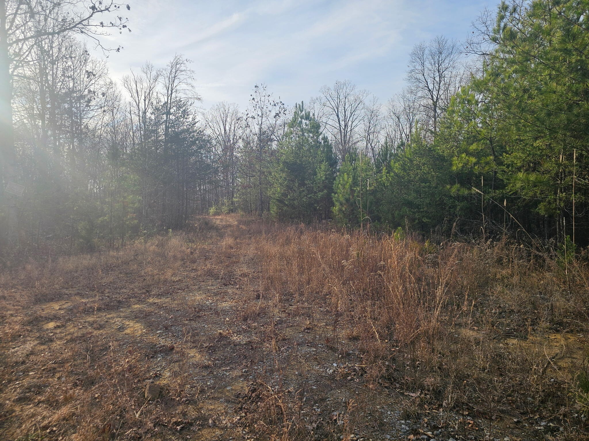 2900300 Smith Mountain Dunlap TN 37327