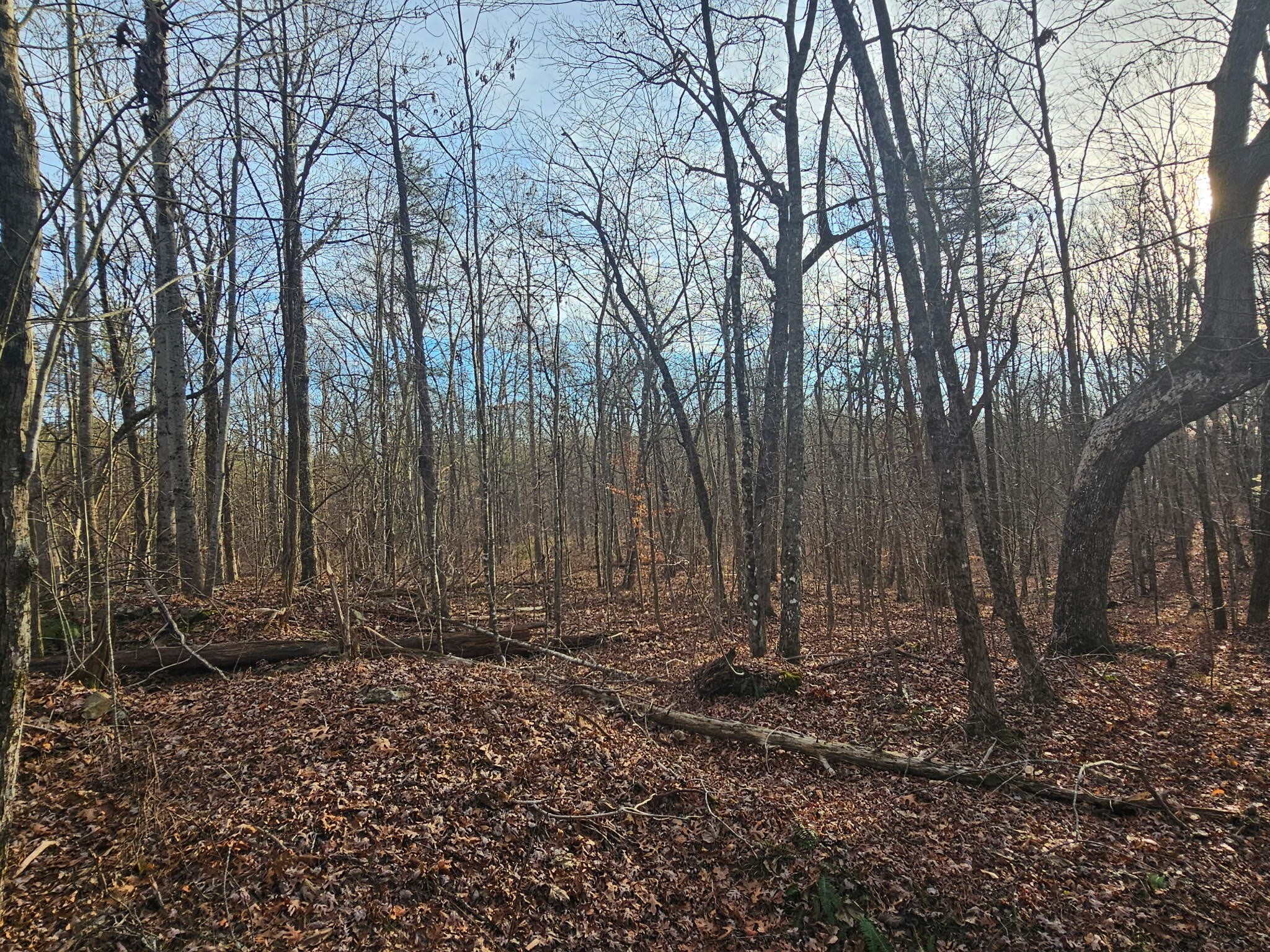 2900300 Smith Mountain Dunlap TN 37327