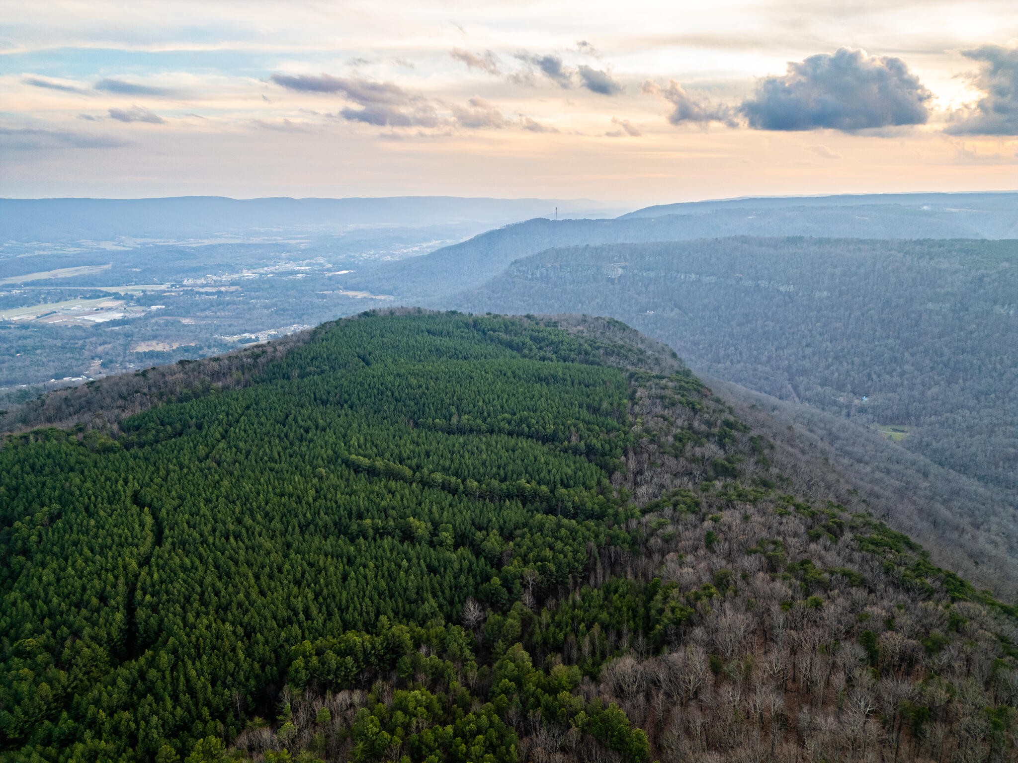 2900300 Smith Mountain Dunlap TN 37327