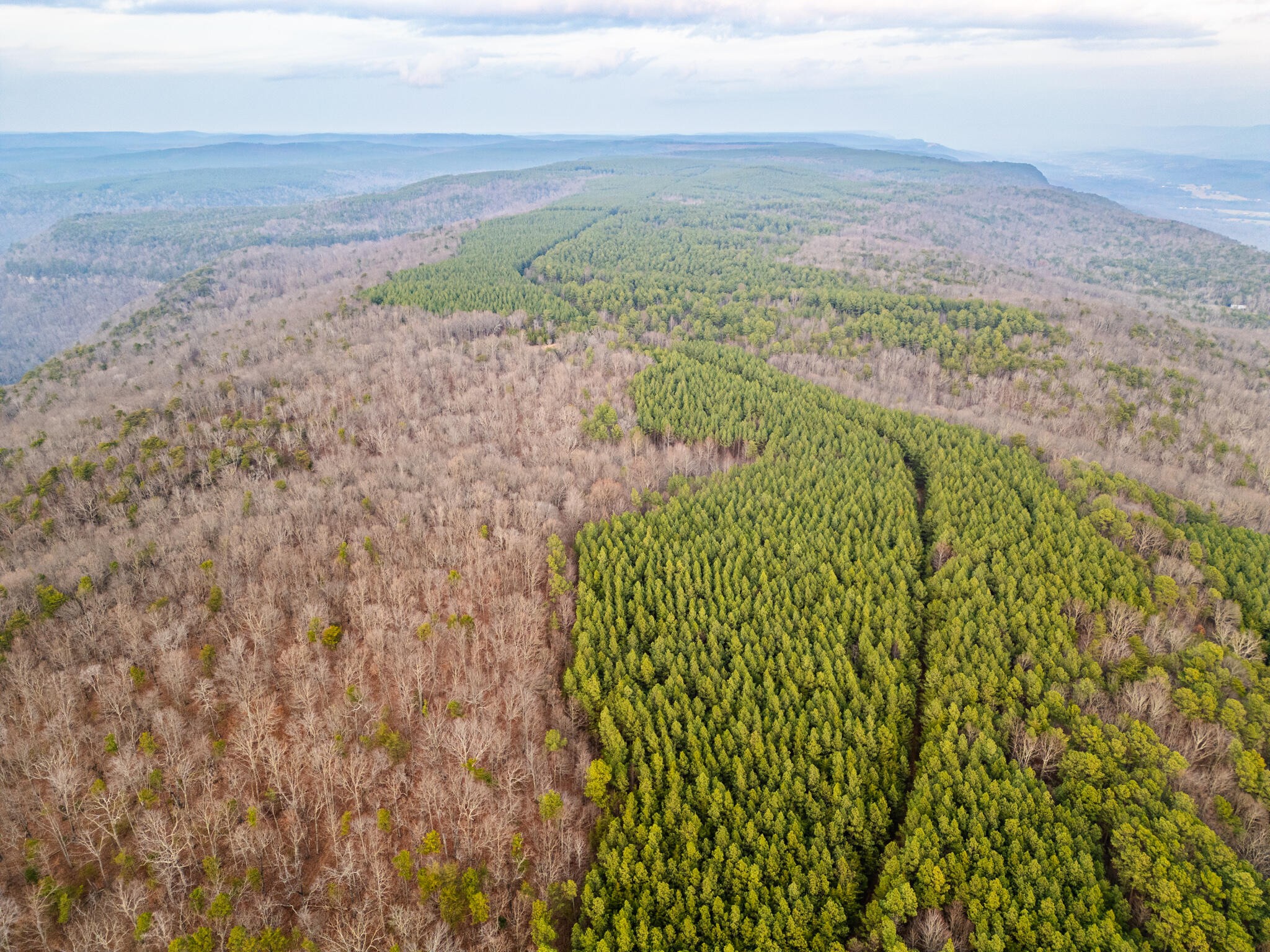 2900300 Smith Mountain Dunlap TN 37327