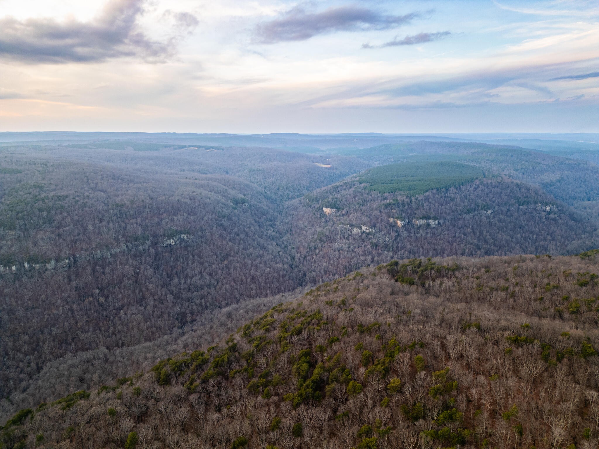 2900300 Smith Mountain Dunlap TN 37327