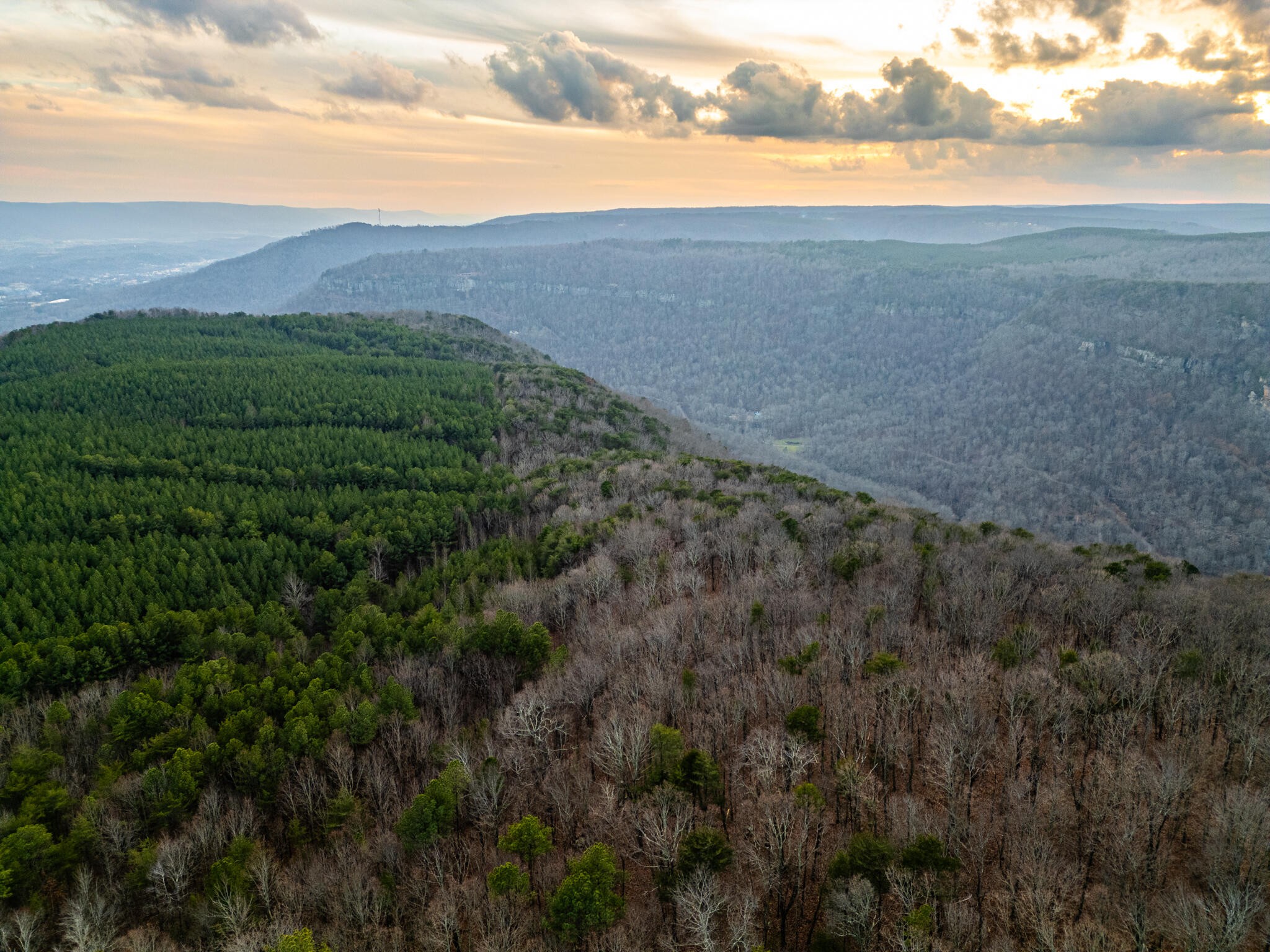 2900300 Smith Mountain Dunlap TN 37327