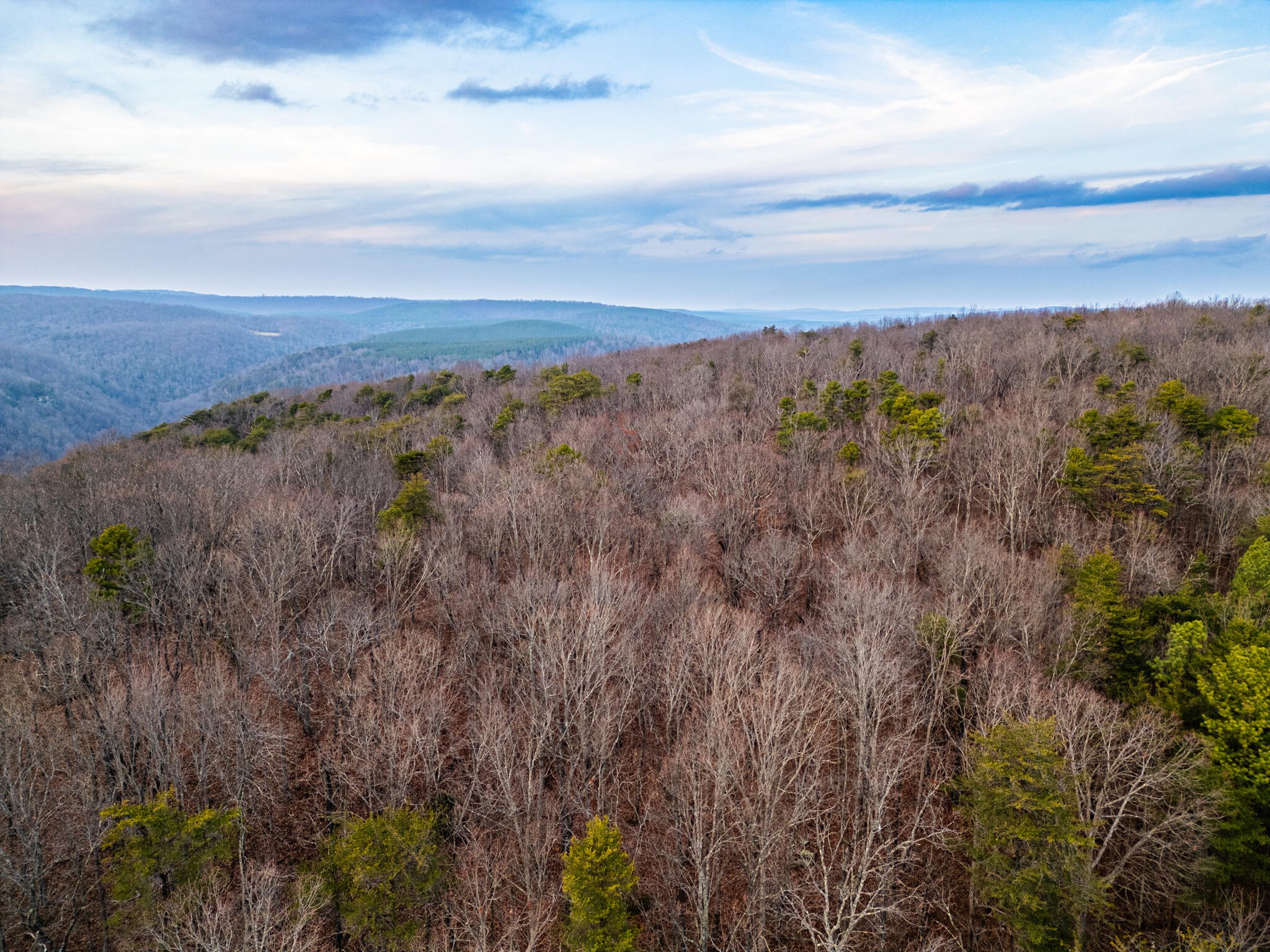 2900300 Smith Mountain Dunlap TN 37327