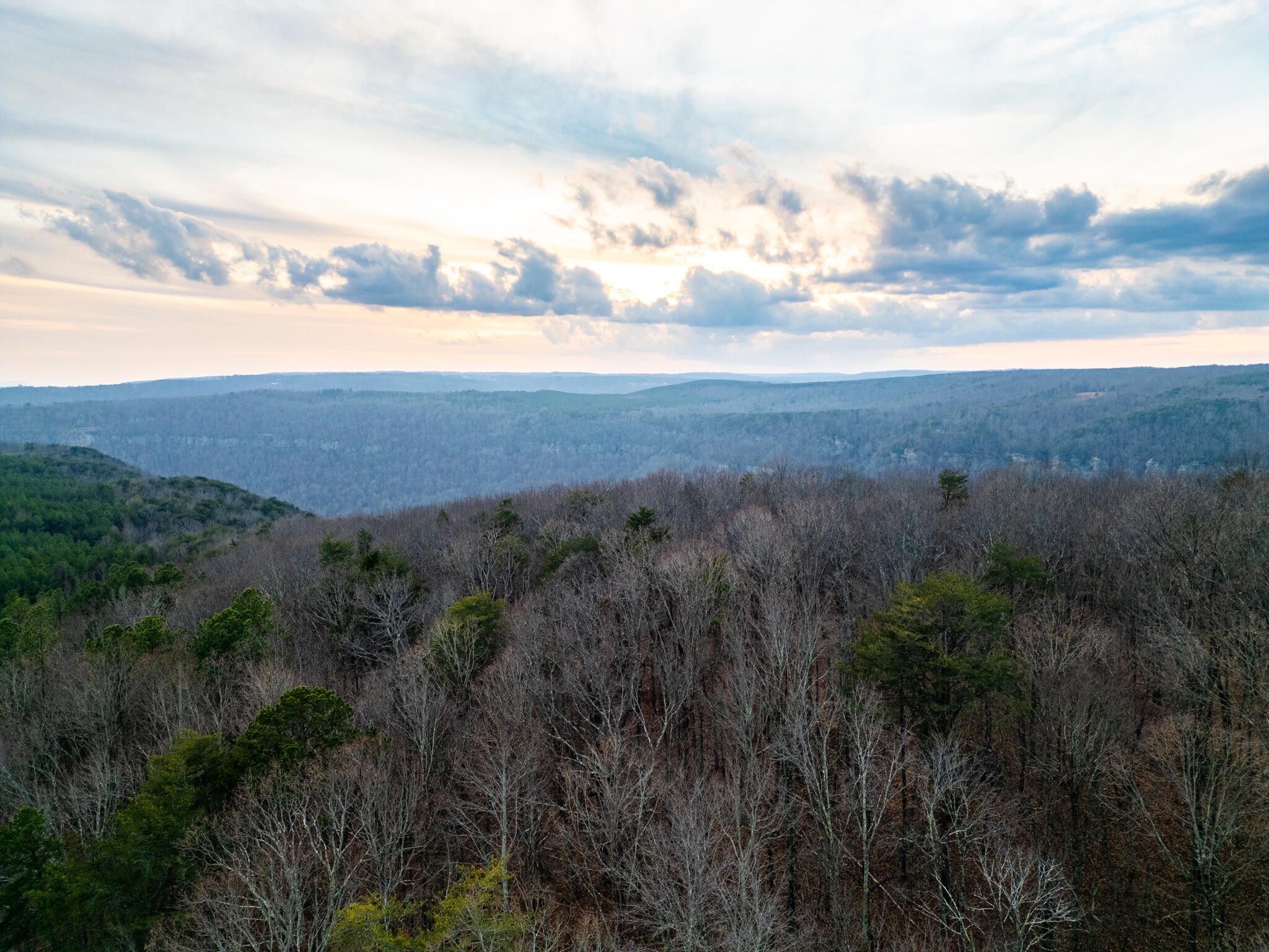 2900300 Smith Mountain Dunlap TN 37327