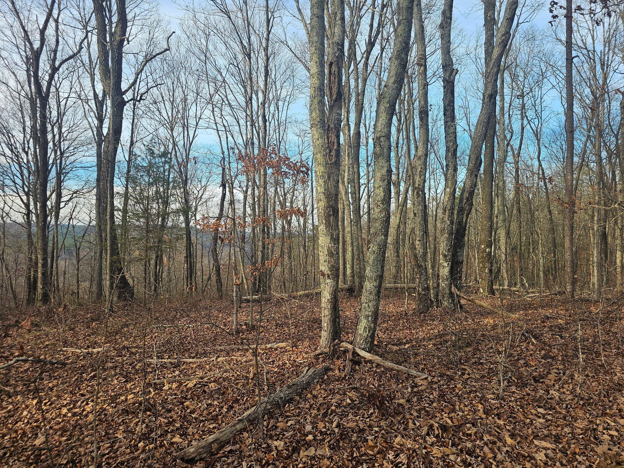 2900300 Smith Mountain Dunlap TN 37327