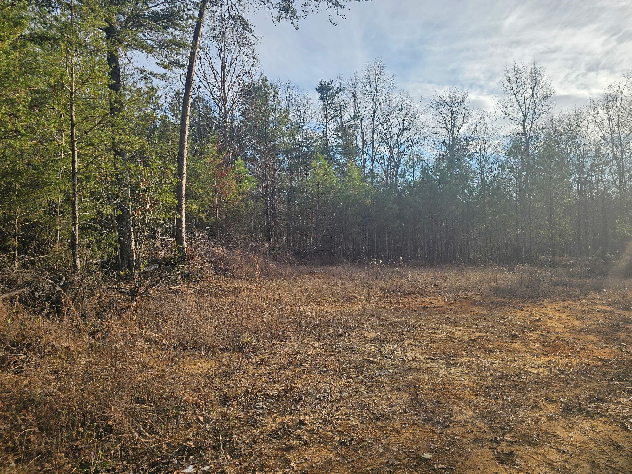 2900300 Smith Mountain Dunlap TN 37327