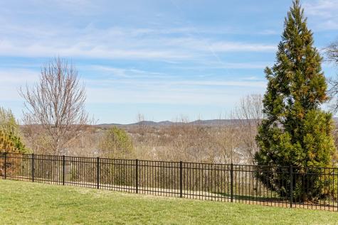 372 Finnhorse Lane Franklin TN 37064