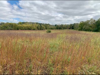 724 Blue Water Drive Lot 27 Cookeville TN 38506