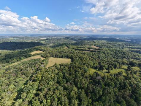 1143 Old Elkton Pike Dellrose TN 38453