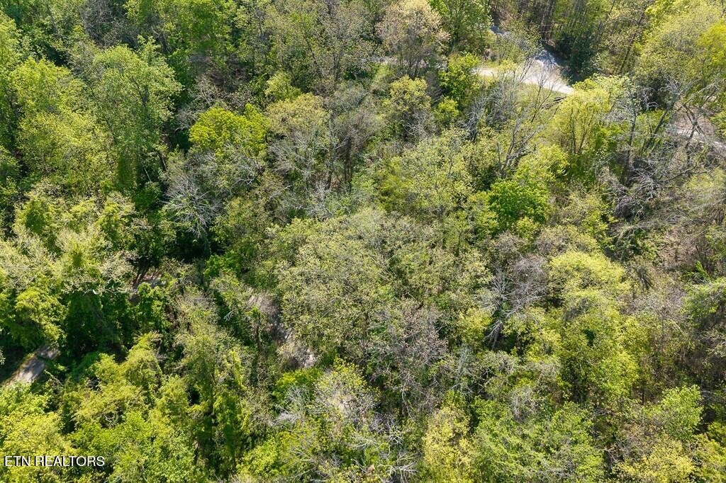 588 Austin Bottom Road Baxter TN 38544