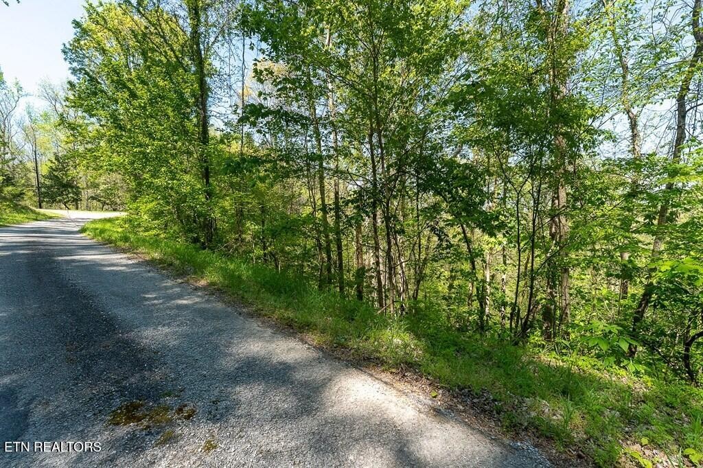 588 Austin Bottom Road Baxter TN 38544