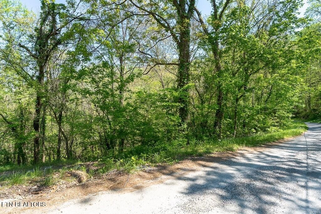 588 Austin Bottom Road Baxter TN 38544