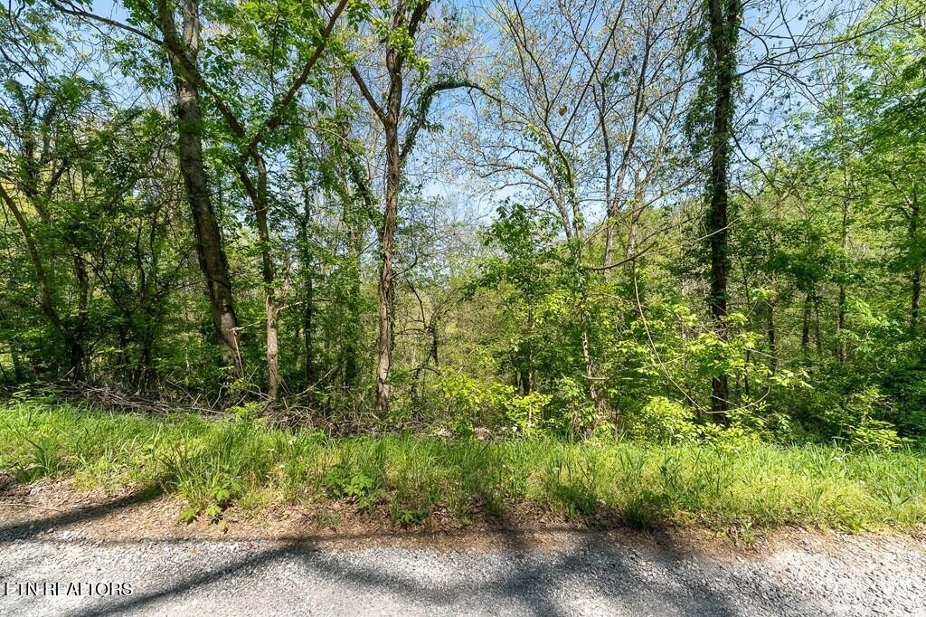 588 Austin Bottom Road Baxter TN 38544