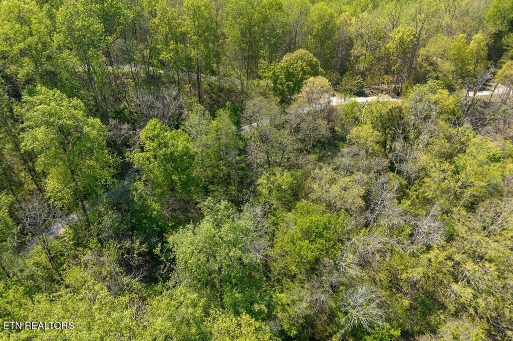 588 Austin Bottom Road Baxter TN 38544