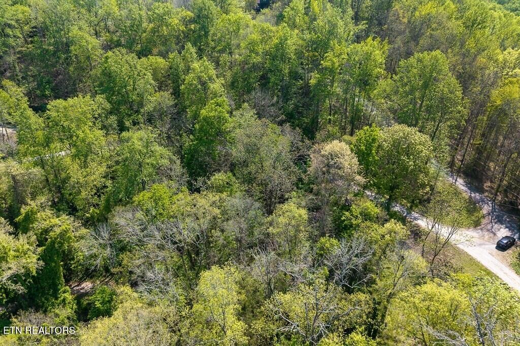 588 Austin Bottom Road Baxter TN 38544