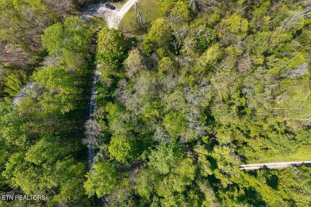 588 Austin Bottom Road Baxter TN 38544