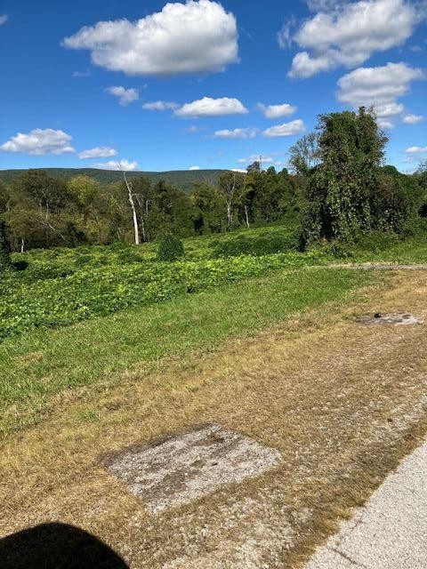 0 Rhea County Hwy / Highway 27 Spring City TN 37381