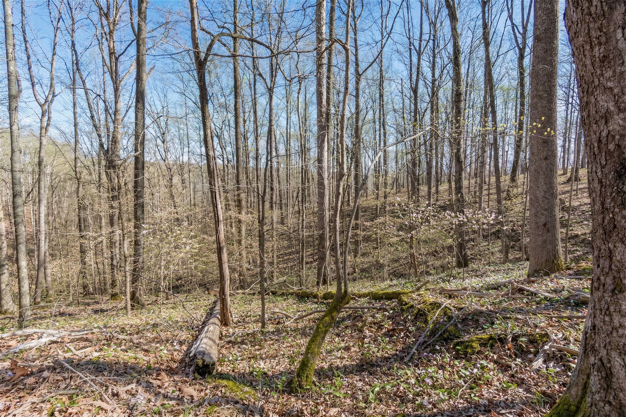 5717 Quest Ridge Road Franklin TN 37064