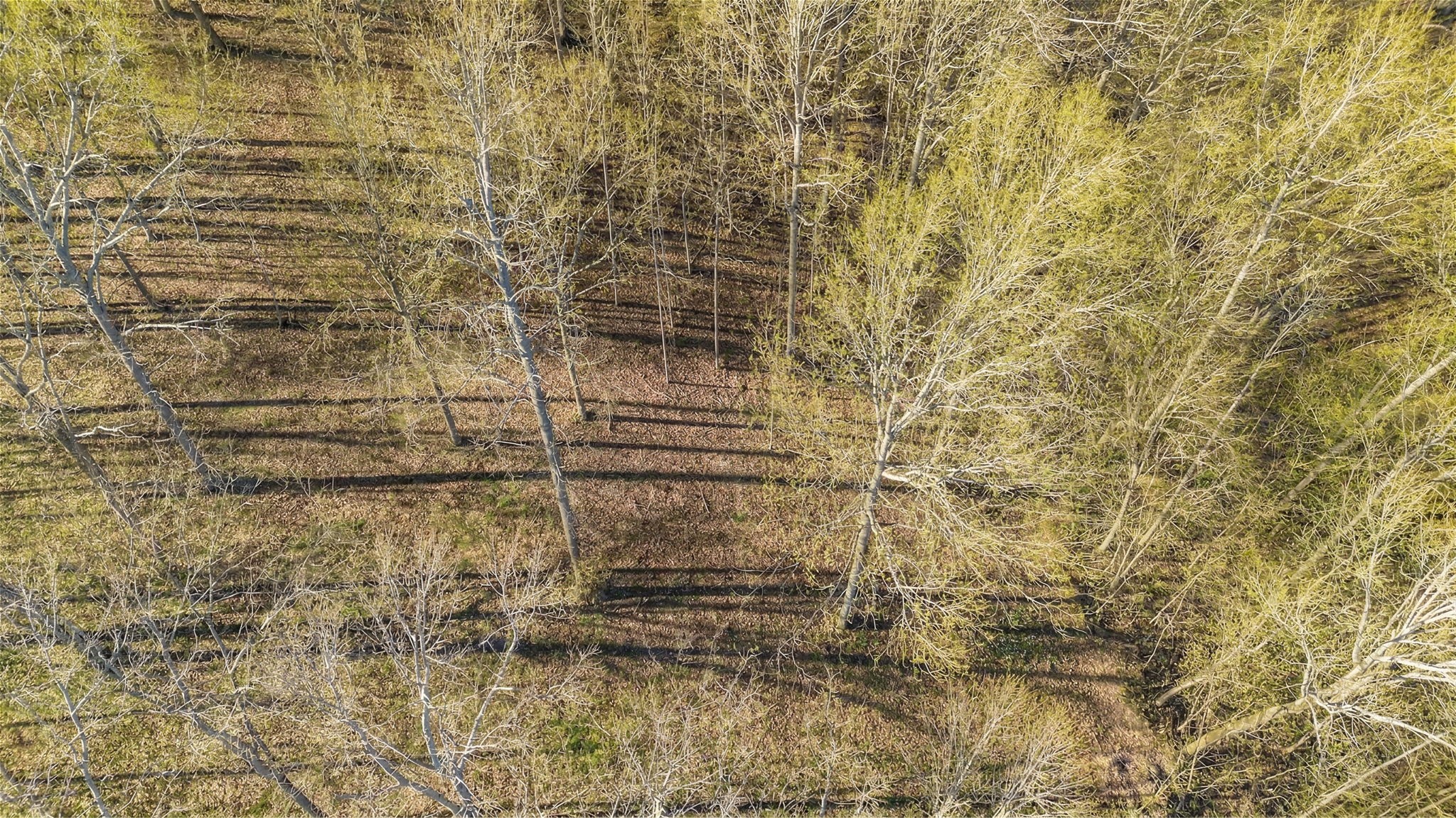 5717 Quest Ridge Road Franklin TN 37064