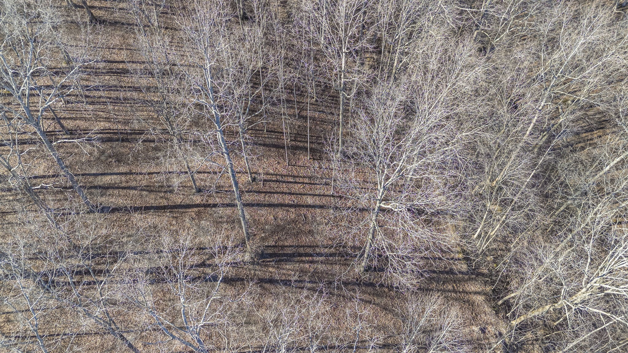 5717 Quest Ridge Road Franklin TN 37064