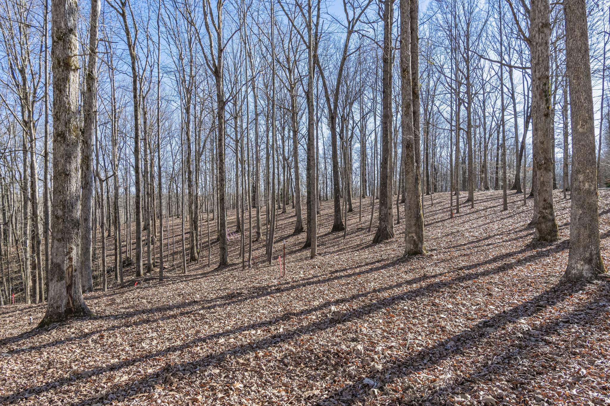 5717 Quest Ridge Road Franklin TN 37064