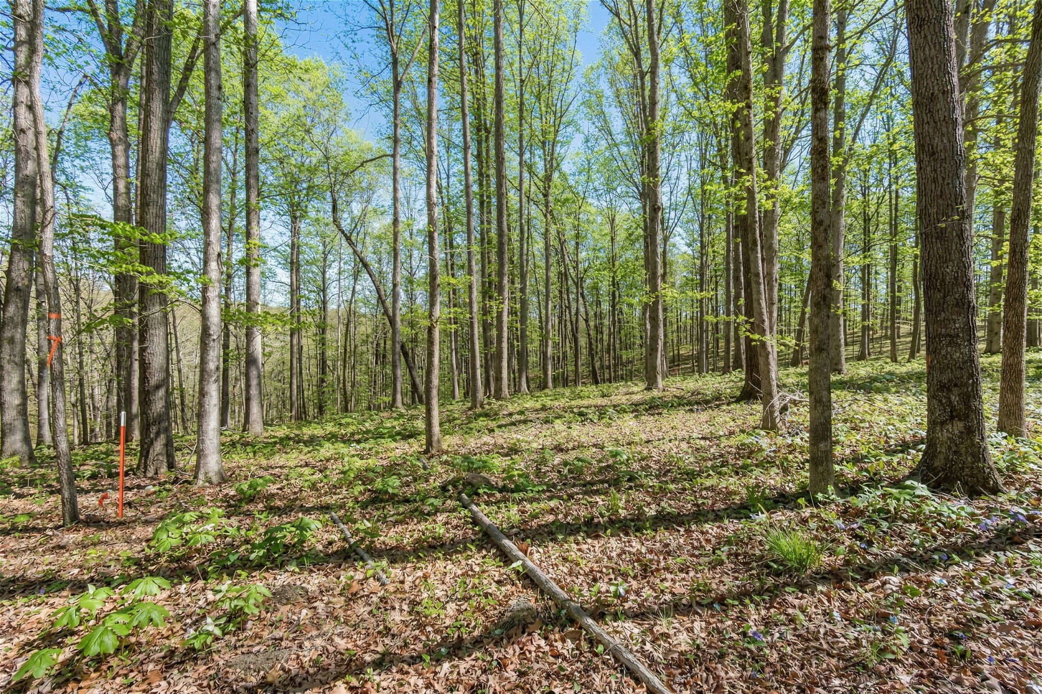 5717 Quest Ridge Road Franklin TN 37064