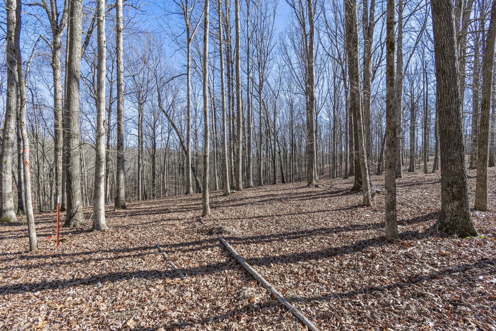 5717 Quest Ridge Road Franklin TN 37064