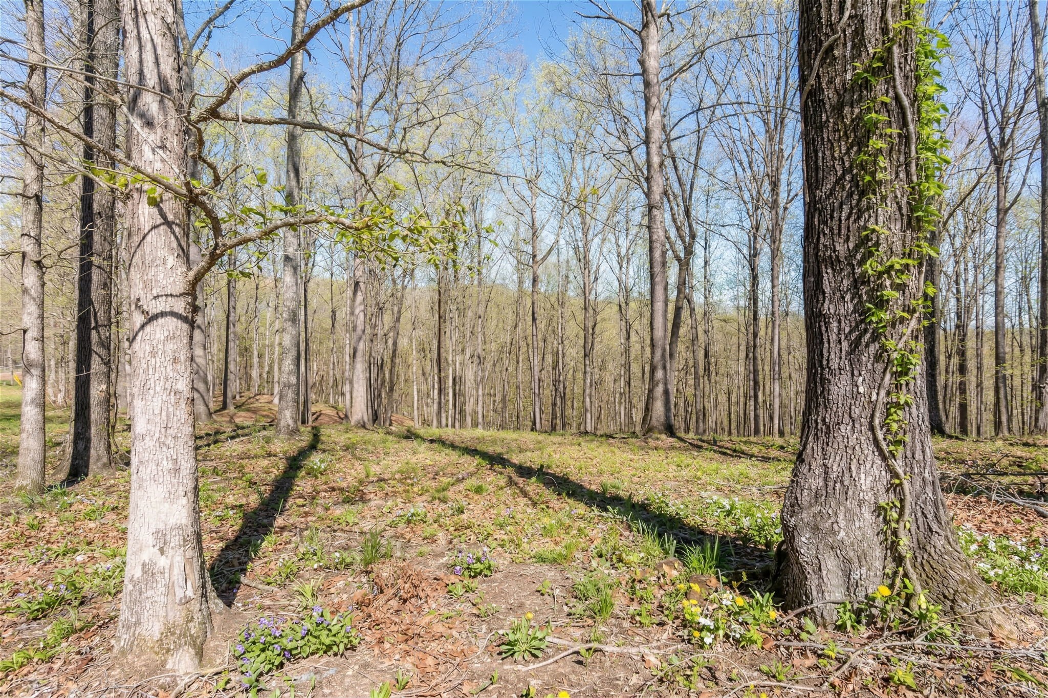 5717 Quest Ridge Road Franklin TN 37064