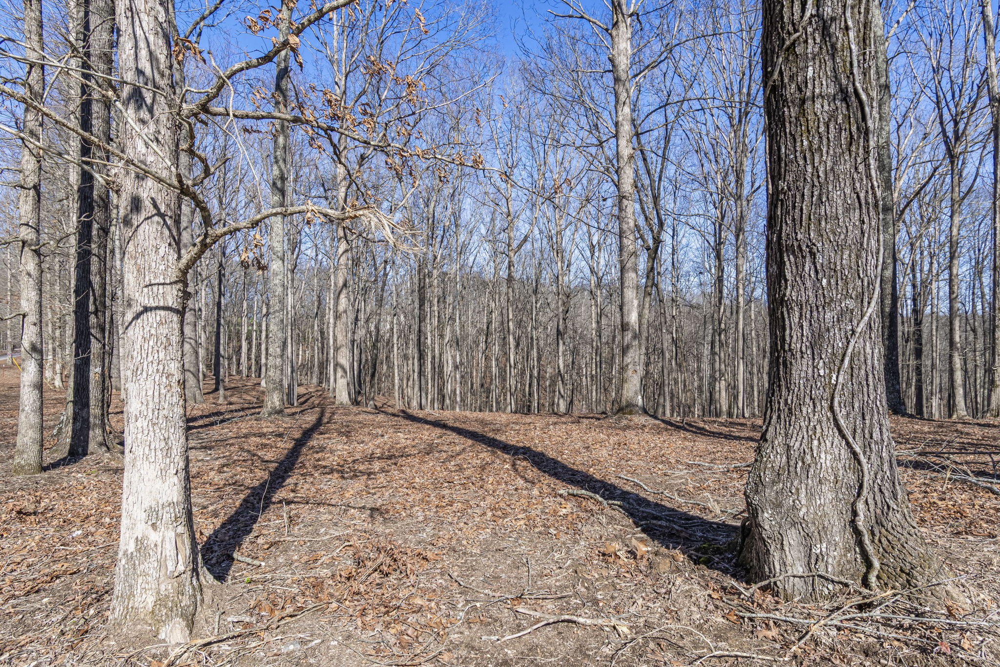 5717 Quest Ridge Road Franklin TN 37064