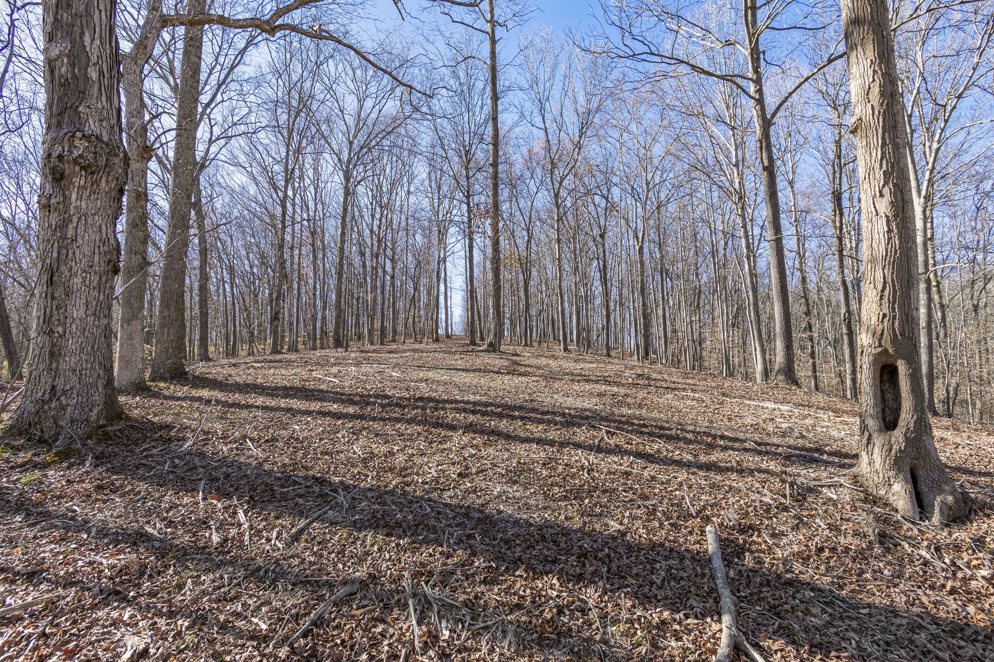 5717 Quest Ridge Road Franklin TN 37064