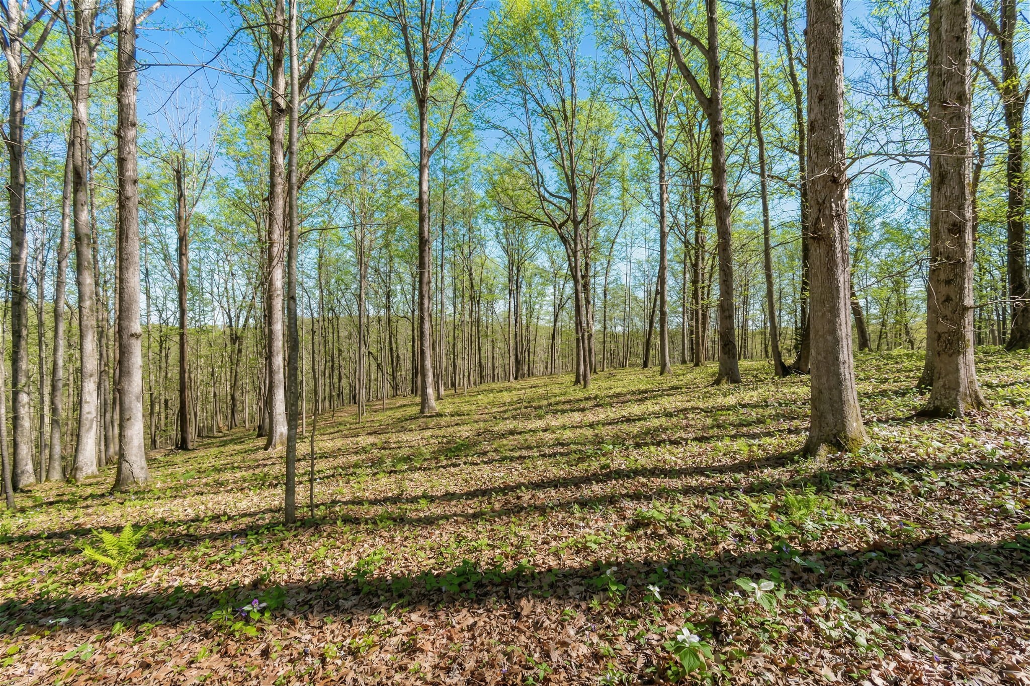 5717 Quest Ridge Road Franklin TN 37064