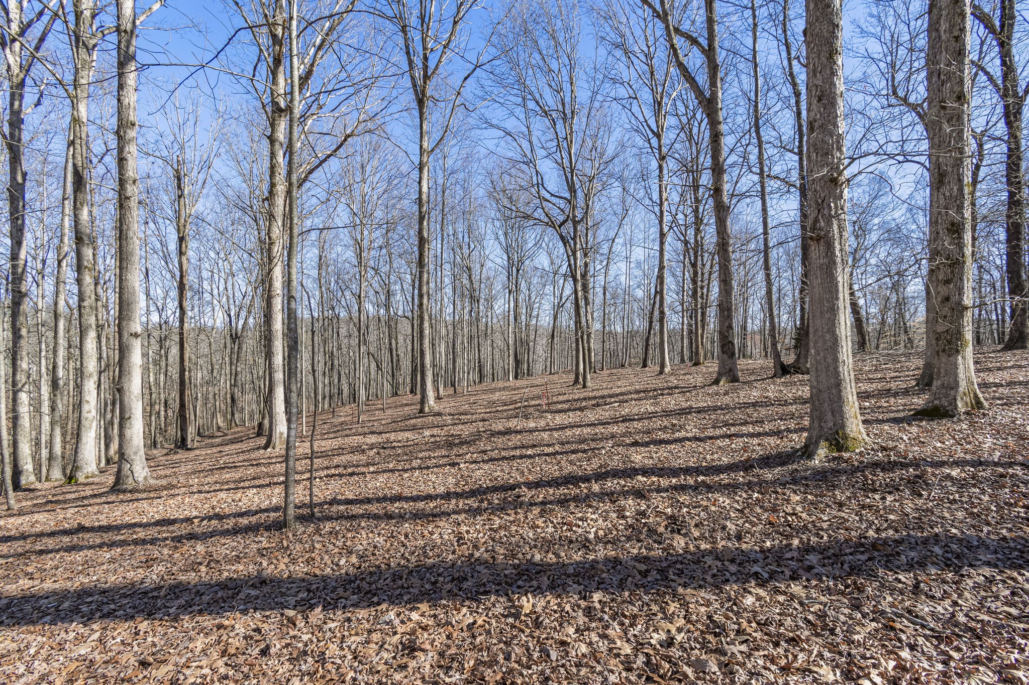 5717 Quest Ridge Road Franklin TN 37064