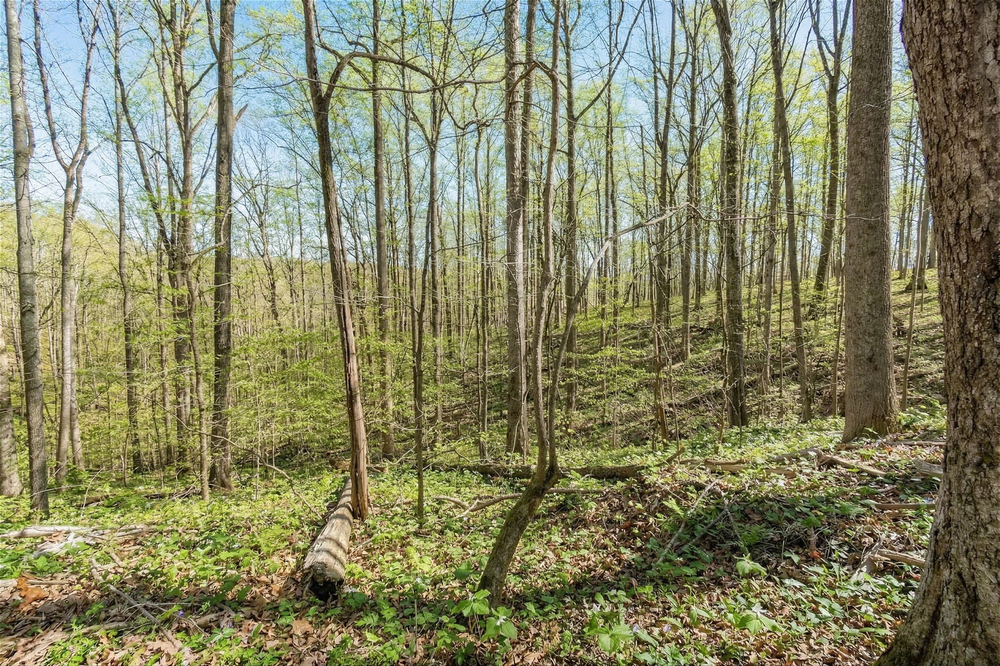 5717 Quest Ridge Road Franklin TN 37064