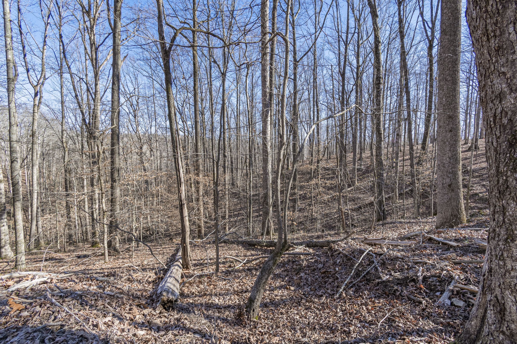 5717 Quest Ridge Road Franklin TN 37064