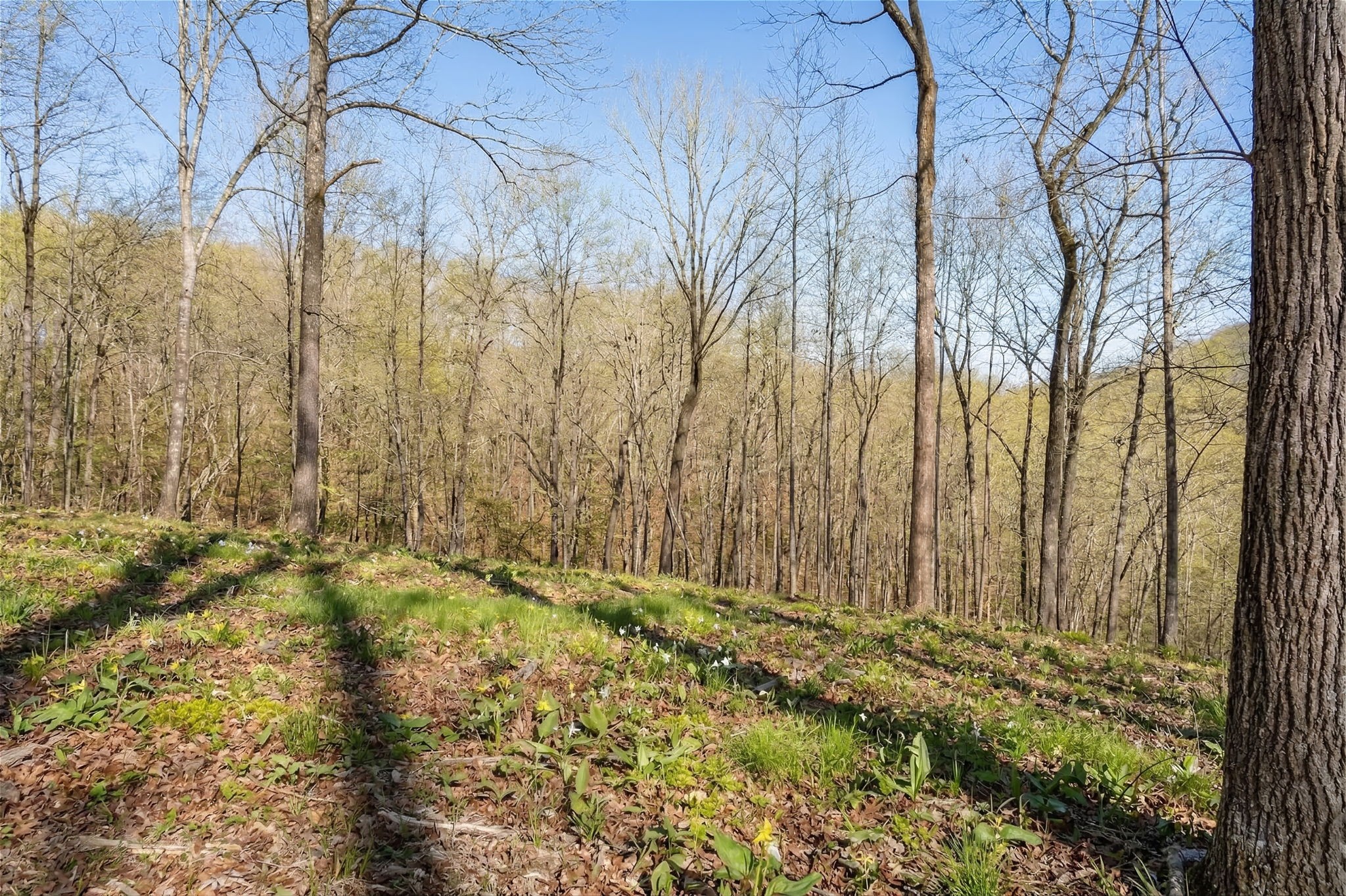 5717 Quest Ridge Road Franklin TN 37064