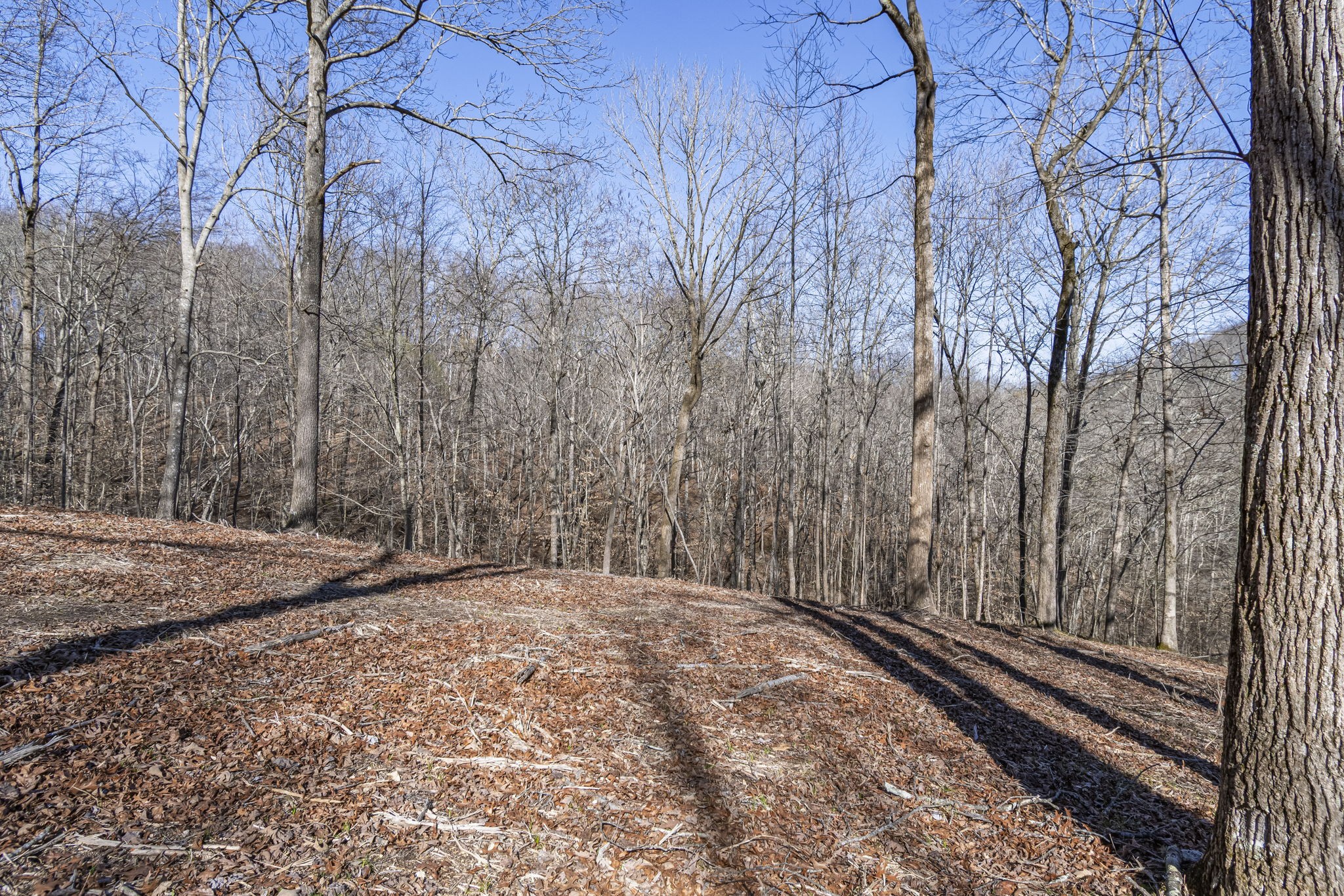 5717 Quest Ridge Road Franklin TN 37064
