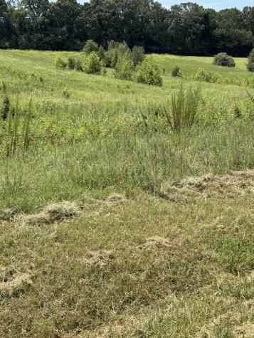 0 Honey Lane Estill Springs TN 37330