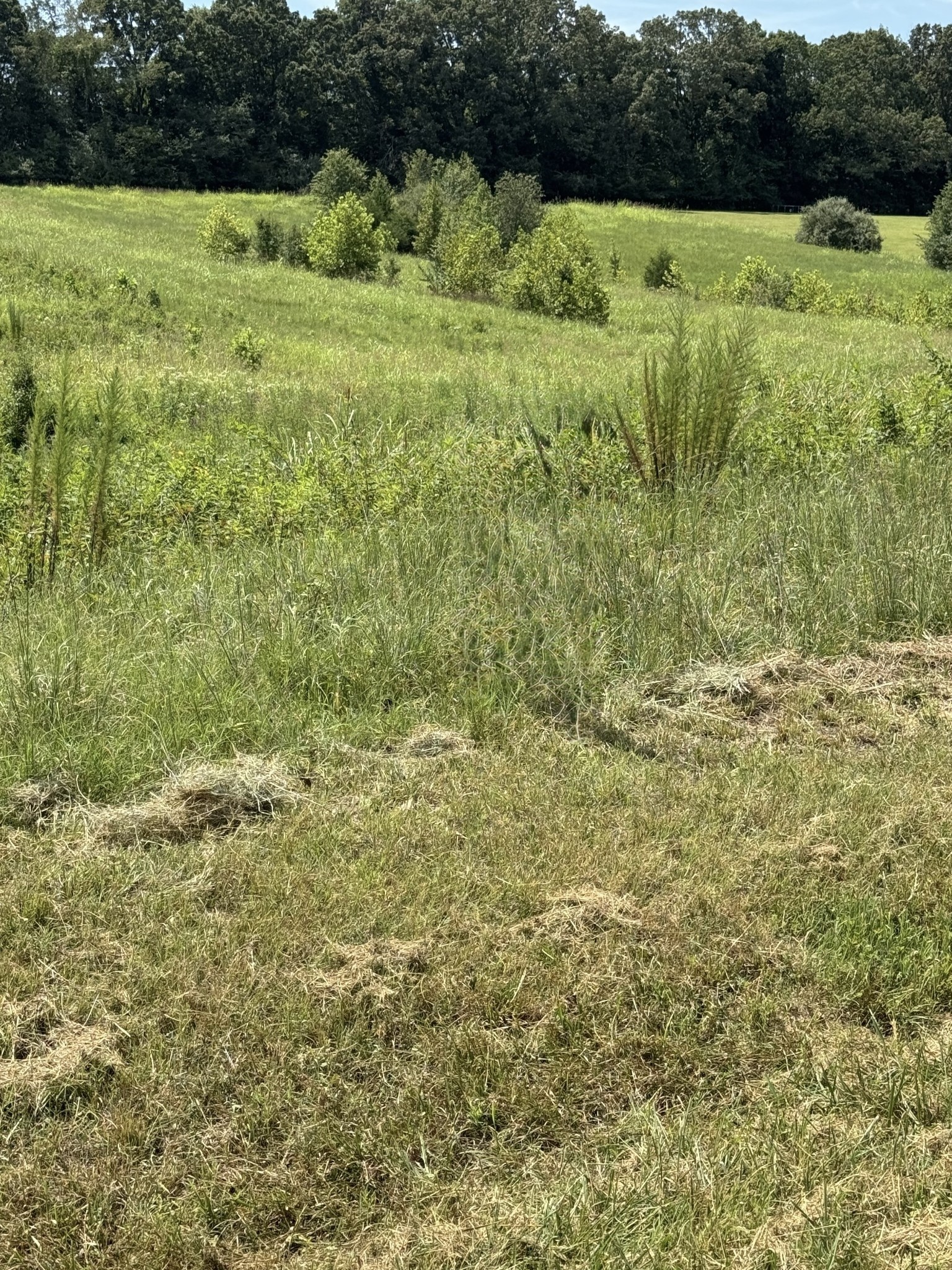 0 Honey Lane Estill Springs TN 37330