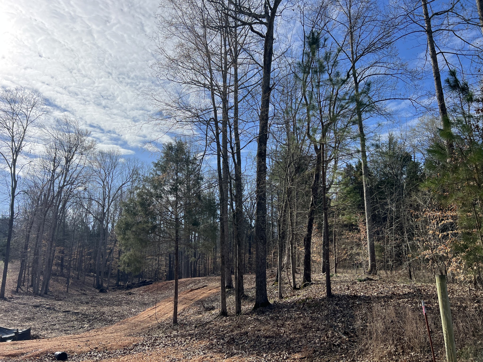 0 Excalibur Trail Cedar Grove TN 38321