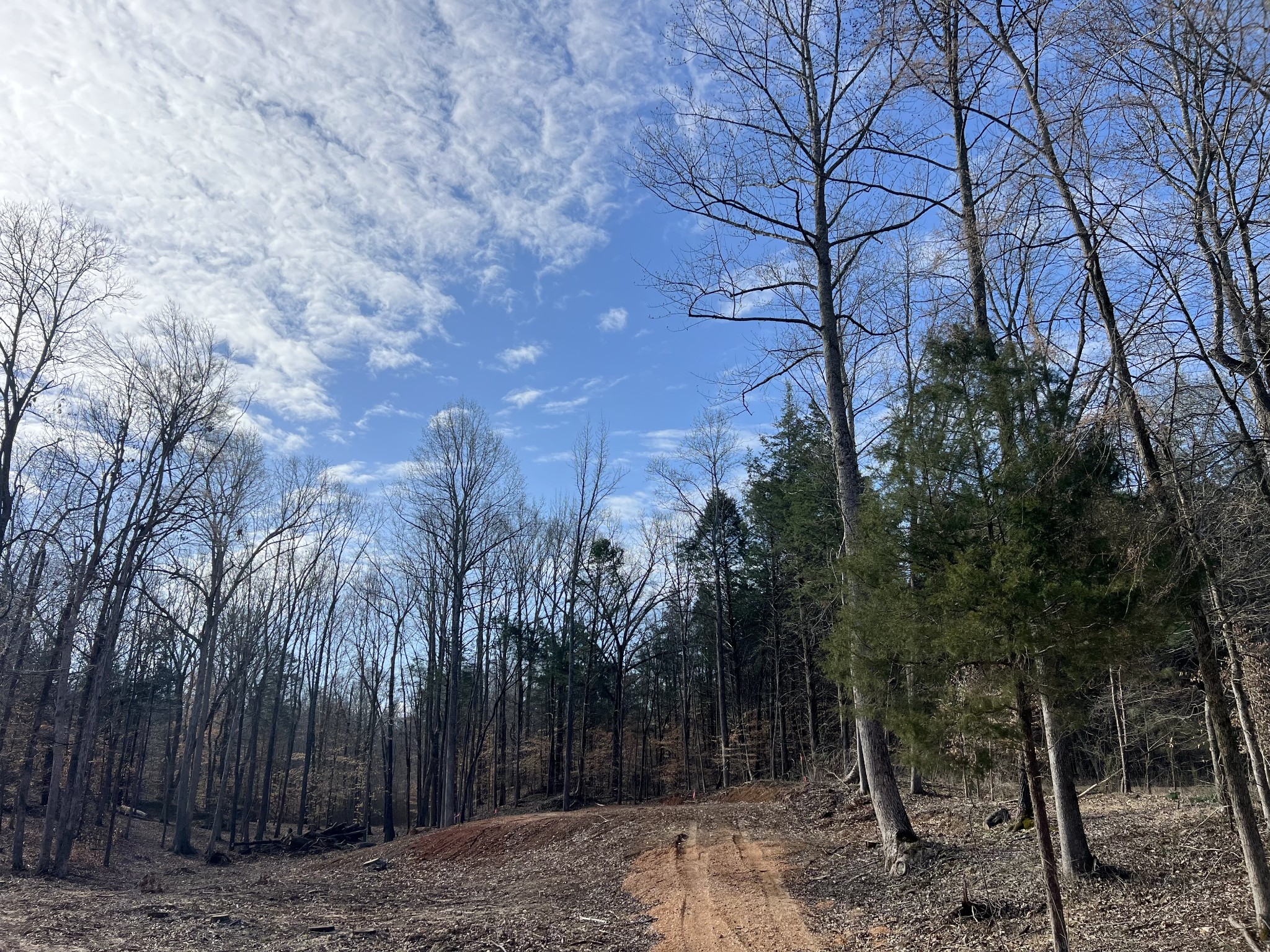 0 Excalibur Trail Cedar Grove TN 38321