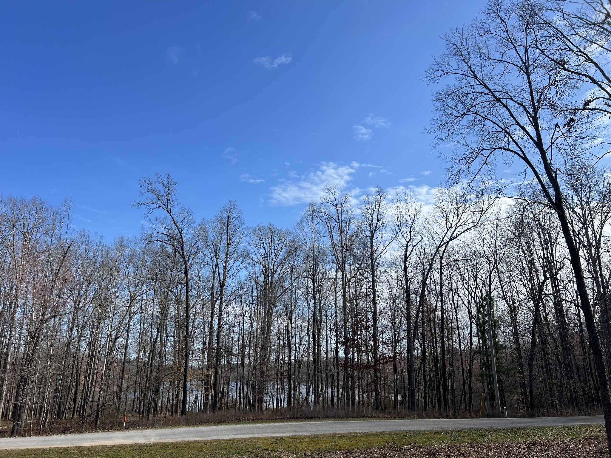 0 Excalibur Trail Cedar Grove TN 38321