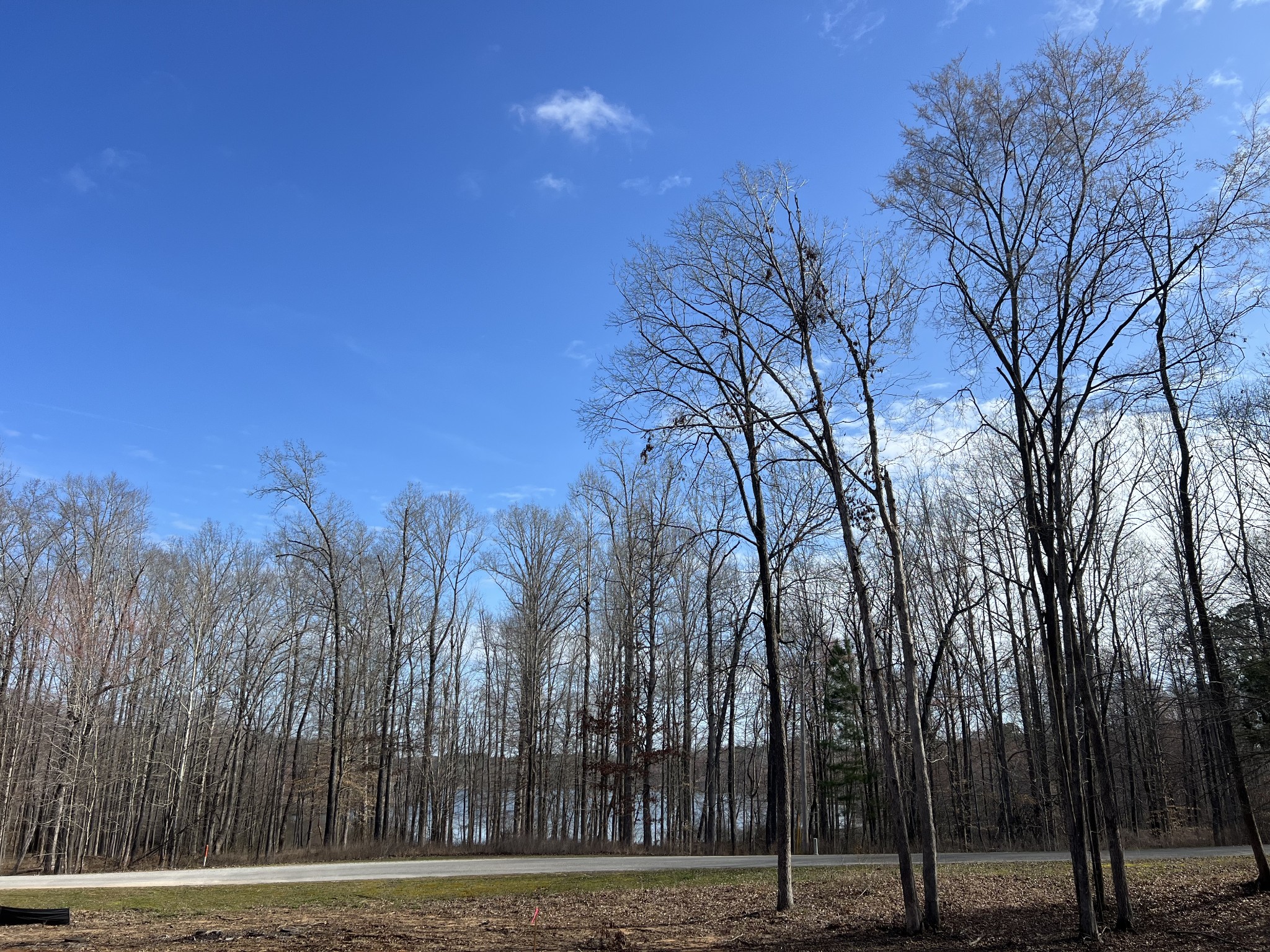 0 Excalibur Trail Cedar Grove TN 38321