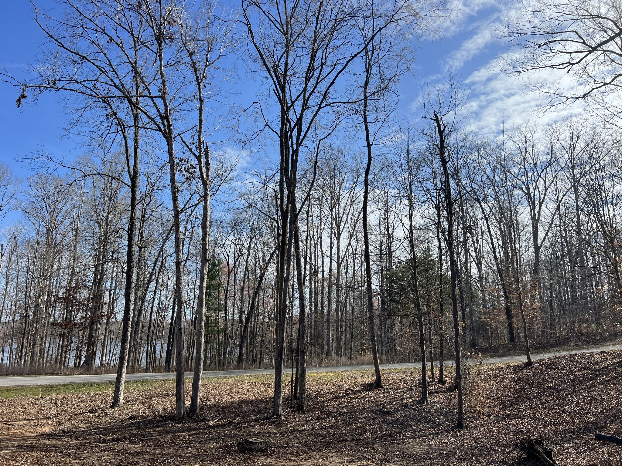 0 Excalibur Trail Cedar Grove TN 38321