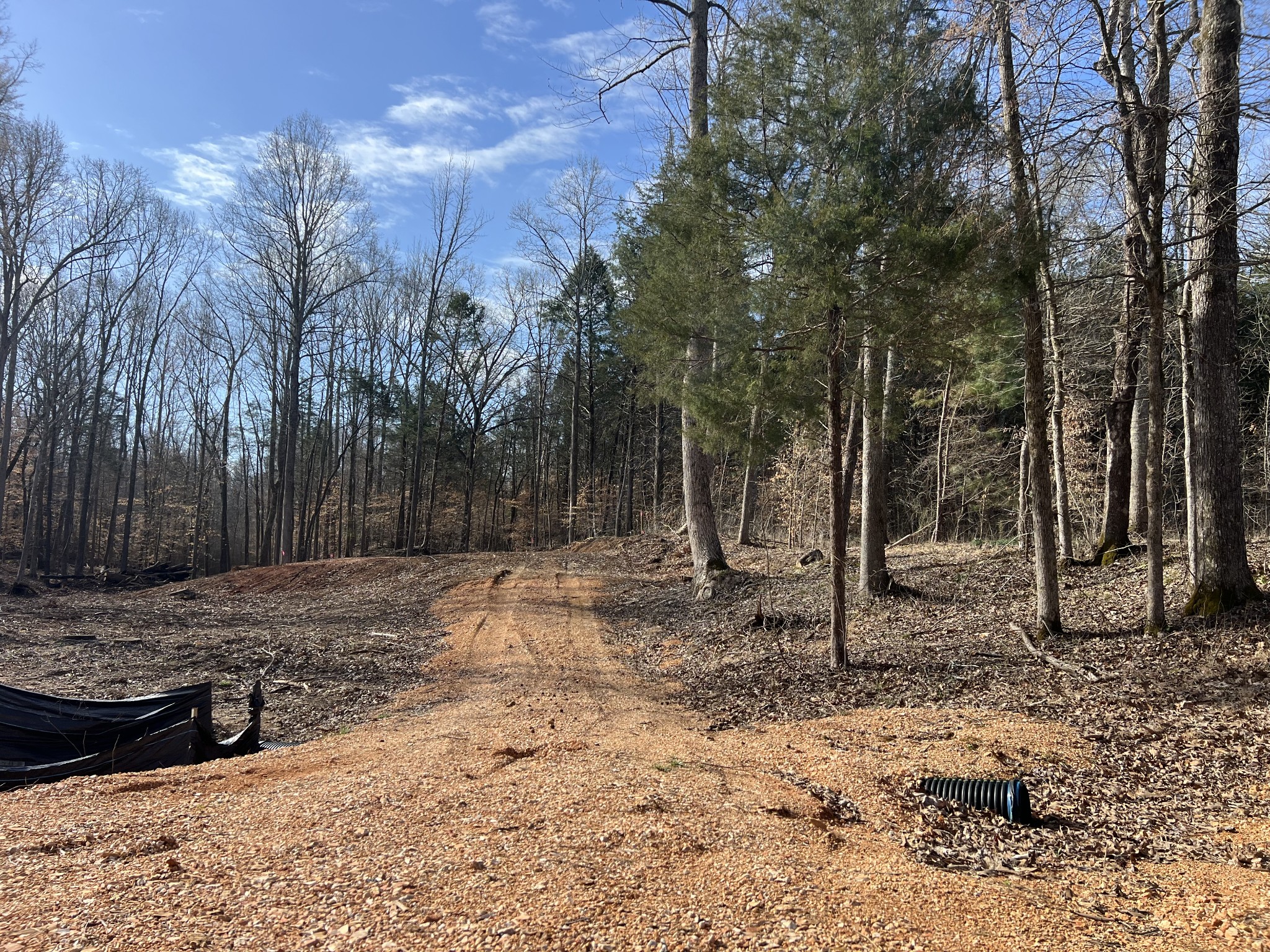 0 Excalibur Trail Cedar Grove TN 38321