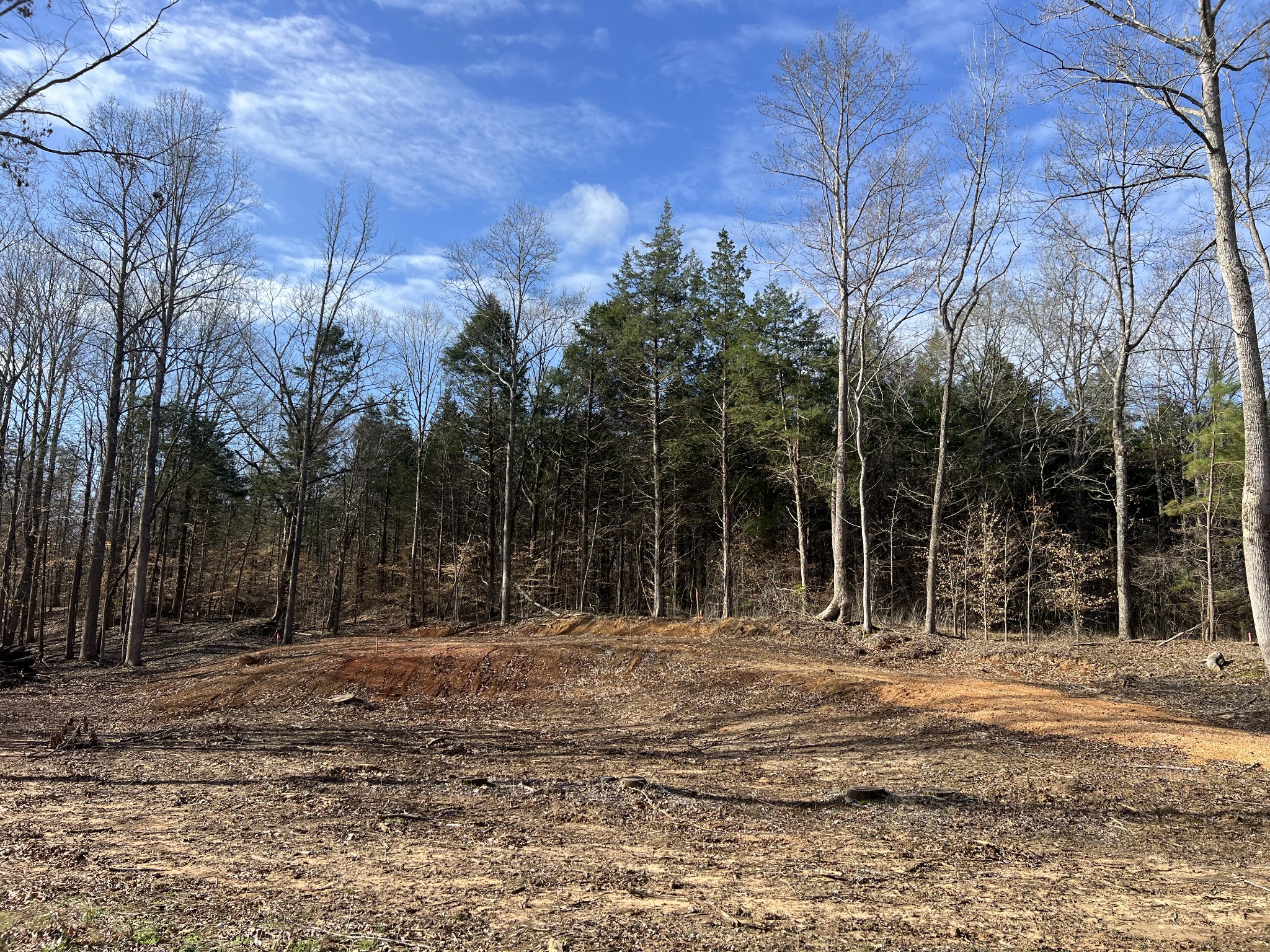 0 Excalibur Trail Cedar Grove TN 38321