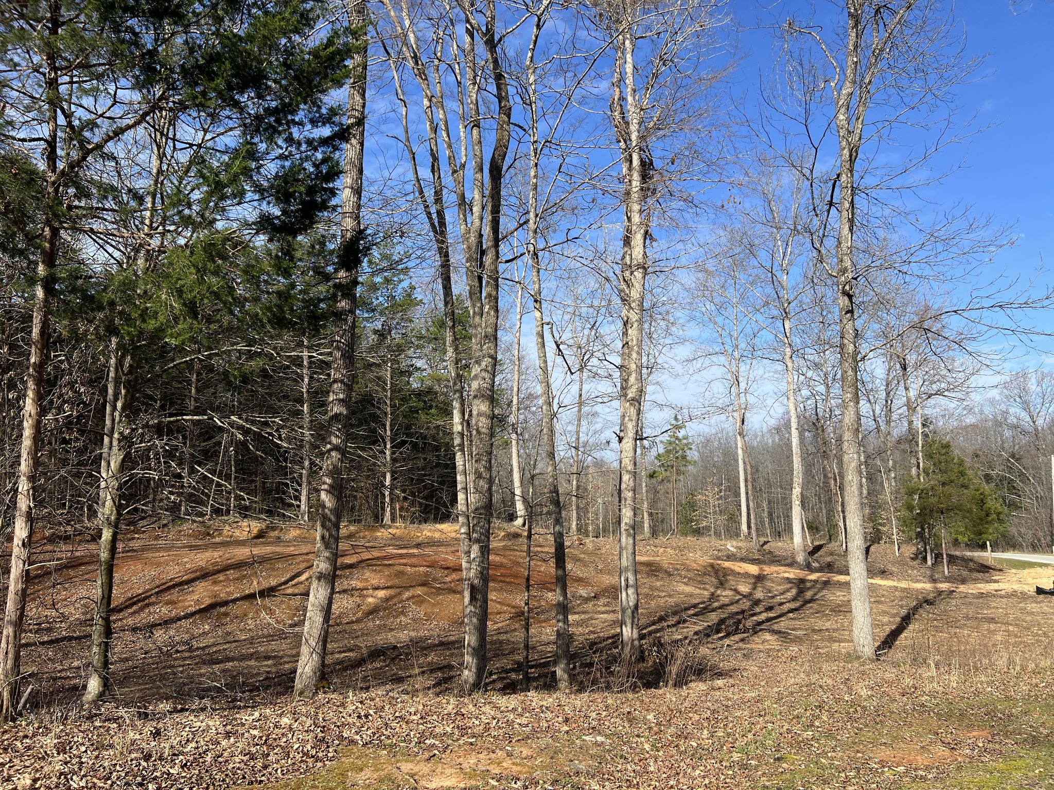 0 Excalibur Trail Cedar Grove TN 38321